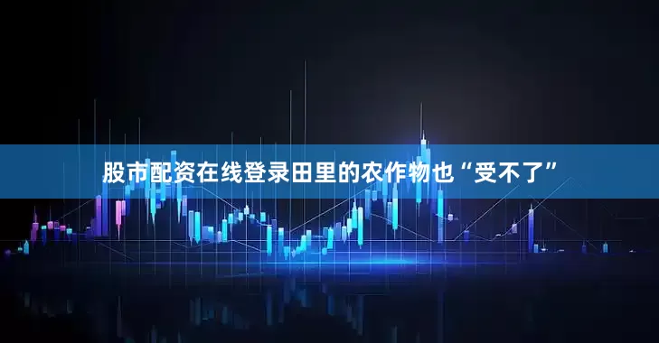 股市配资在线登录田里的农作物也“受不了”