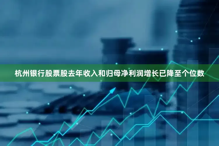 杭州银行股票股去年收入和归母净利润增长已降至个位数